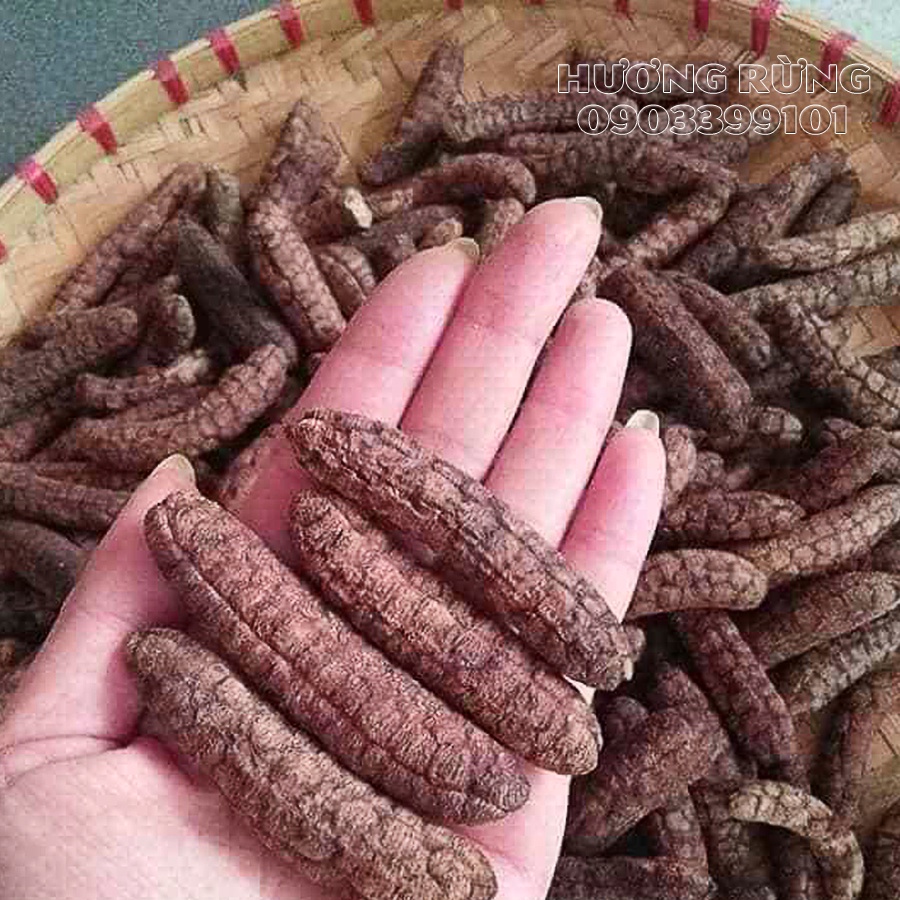 Chuối hột rừng 1kg, thơm ngon nguyên chất