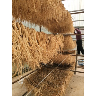 100g Đẳng Sâm - đảng sâm