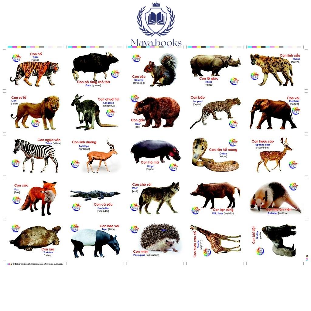 Flashcard - Bộ thẻ học thông minh Thanh Hương cho bé theo phương pháp giáo dục sớm Glenn Doman- 1 chủ đề lẻ bất kỳ