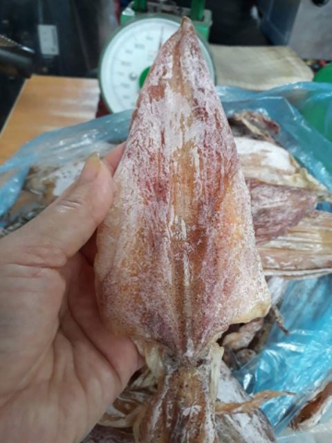 MỰC CÂU KHÔ NGHỆ AN LOẠI 1 DÀY MÌNH,  DAI NGỌT CỰC LUÔN | BigBuy360 - bigbuy360.vn