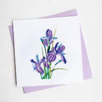 Combo phôi thiệp và dụng cụ làm quilling