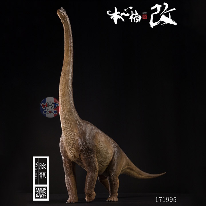 Mô hình khủng long Brachiosaurus Nanmu tỉ lệ 1/35 chính hãng (PVC)