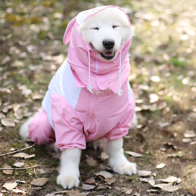 Áo mưa cho chó săn lông cừu vàng không thấm nước bao gồm tất cả Samoyed Labrador Husky vừa và lớn quần bốn chân cưng