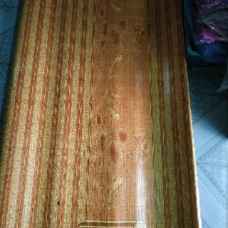 Chiếu trúc tăm