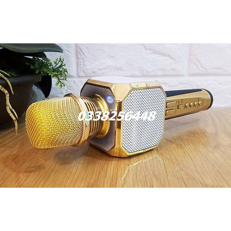 Micro Karaoke SD-10 kèm loa Bluetooth ((Ảnh chính chủ))