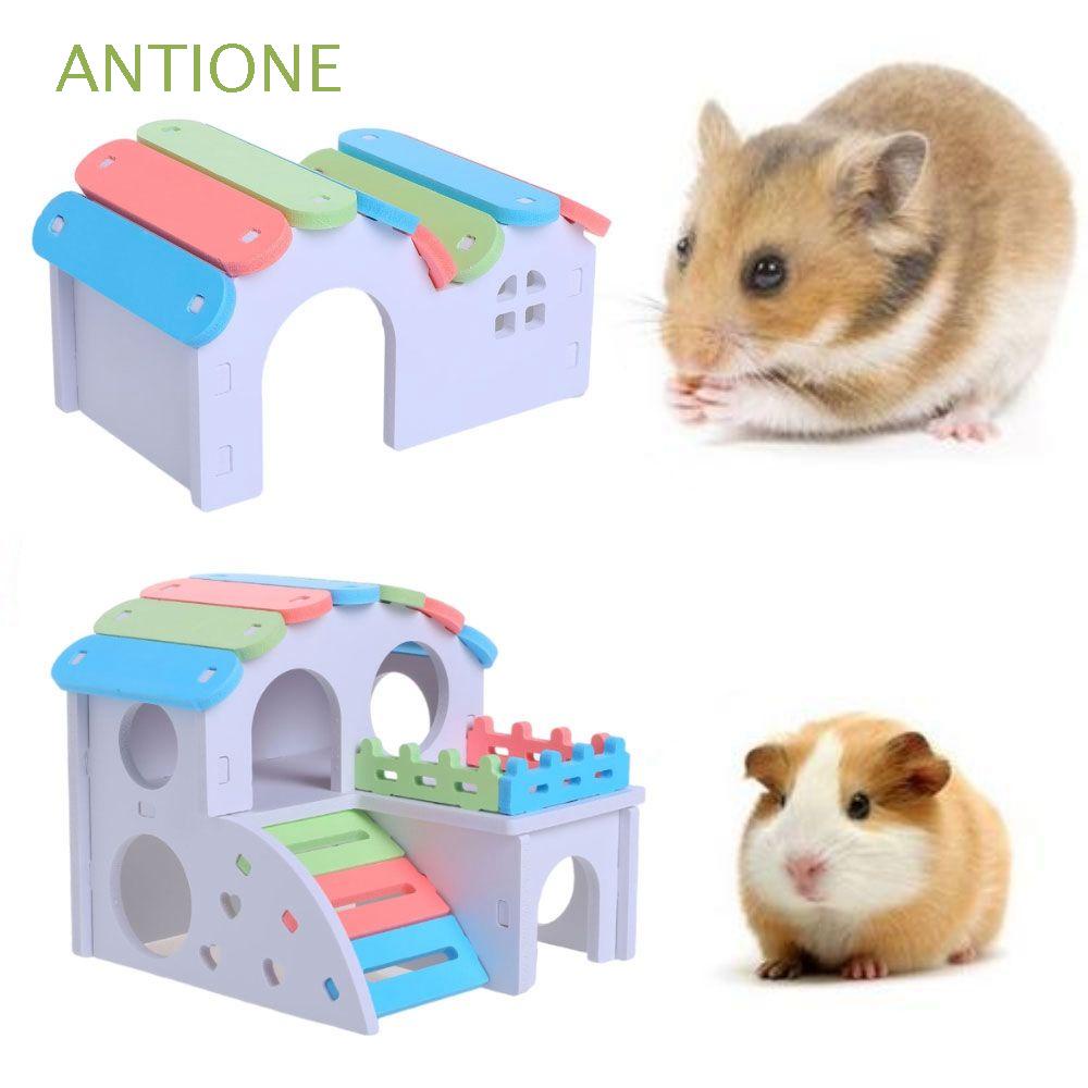Ngôi nhà màu sắc cầu vồng kiêm nơi ngủ dành cho chuột lang chuột hamster leo trèo thiết kế bậc thang độc đáo
