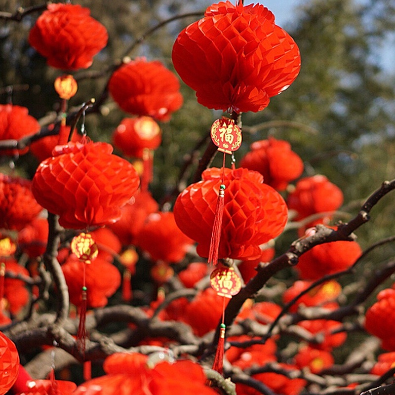 Đèn lồng tổ ong đỏ phong cách trung quốc / đèn lồng giấy thủ công chất lượng cao / đèn lồng giấy nhựa không thấm nước có thể tái sử dụng để trang trí nhà năm mới