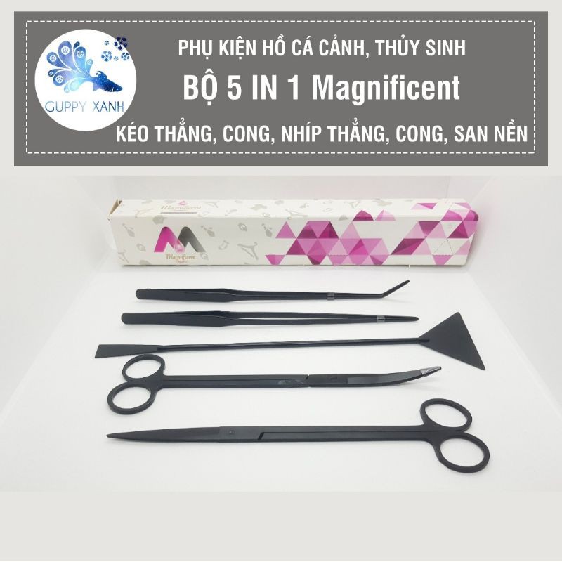 Bộ 5 dụng cụ thủy sinh - Hàng inox cao cấp gồm dao cạo , kéo cong , nhíp cong ...