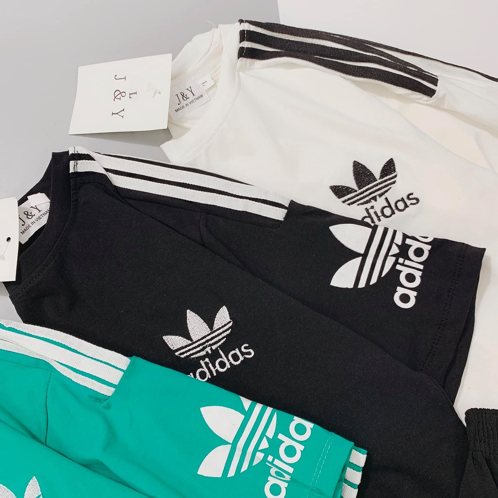 Bán sỉ bộ cotton 3 màu cho nam x | BigBuy360 - bigbuy360.vn