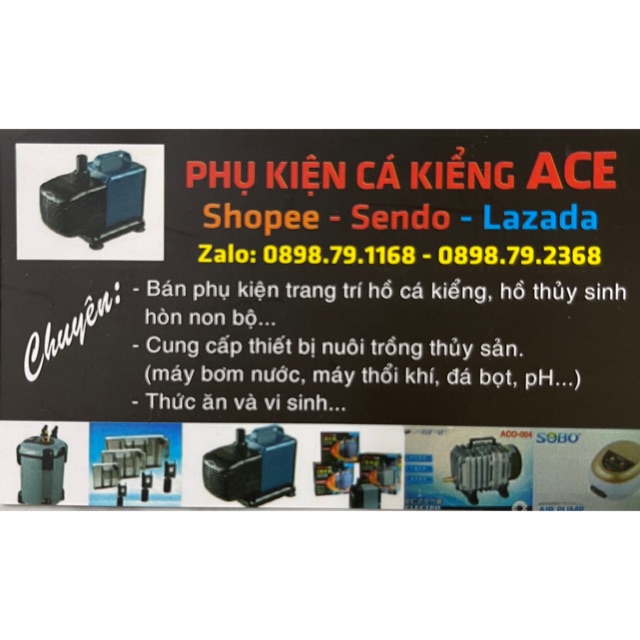 PHỤ KIỆN CÁ KIỂNG ACE