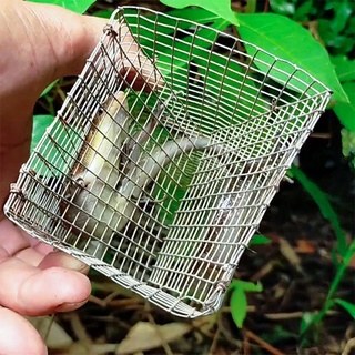 10 LỒNG BẪY RẮN MỐI nhỏ gọn, chuyên nghiệp, hiệu quả