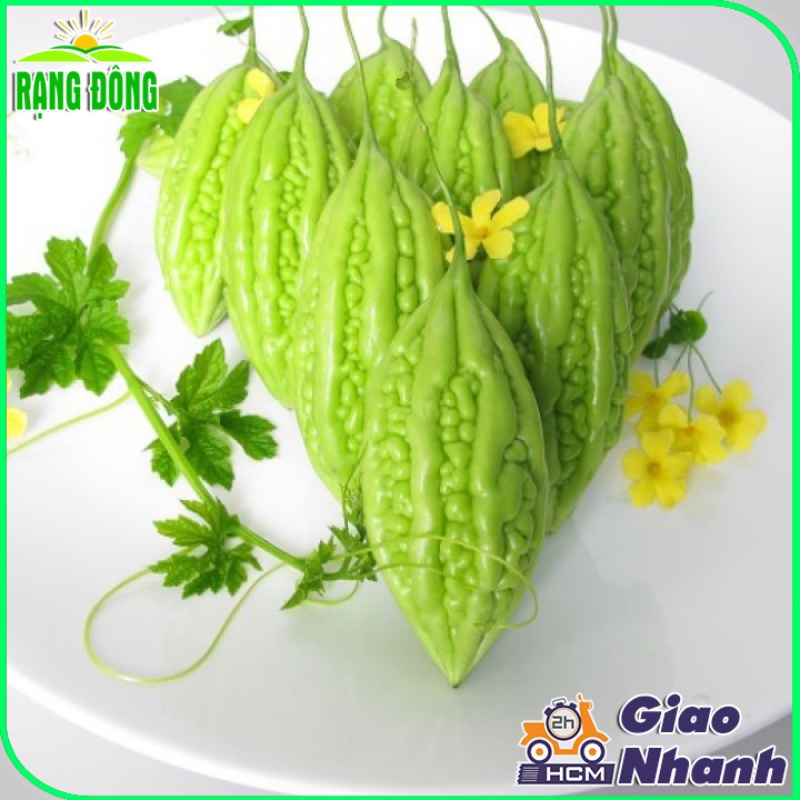 Hạt giống Khổ Qua Lai F1 Trái Ngắn, Cây Chịu Nhiệt, Sinh Trưởng Khỏe, Trồng Quanh Năm (gói 2 gram) - Hạt giống Rạng Đông