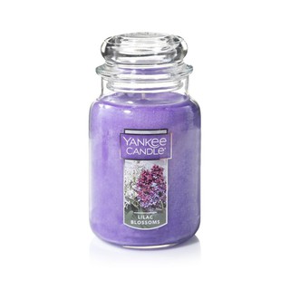 Nến Thơm Yankee Candle Lilac Blossoms - Nến thơm cao cấp Yankee Candle