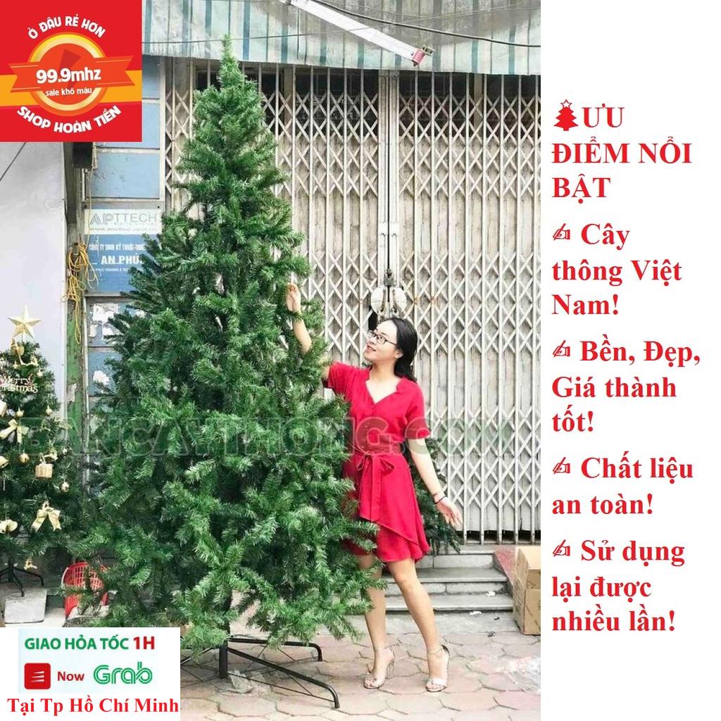 Cây Thông Noel 3m - Cây Thông Trang Trí Noel Giáng Sinh Cao 3M Chân Sắt Quà Tặng Noel 1 Ngôi Sao Đỉnh Và 8 Dây Kim Tuyến