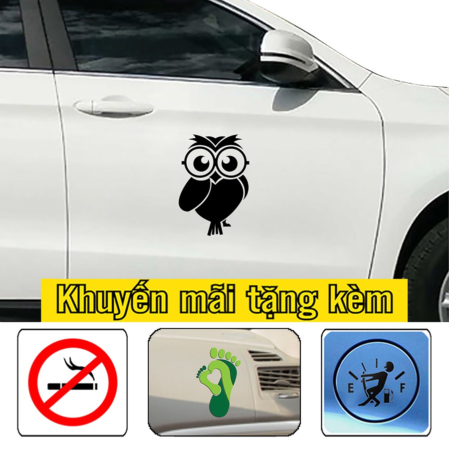 [Sale]- Decal xe 4 chỗ, xe 5 chỗ, xe 7 chỗ hình chim cú thông thái