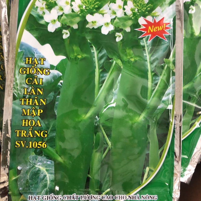 Hạt giống cải làn thân mập hoa trắng ☘️