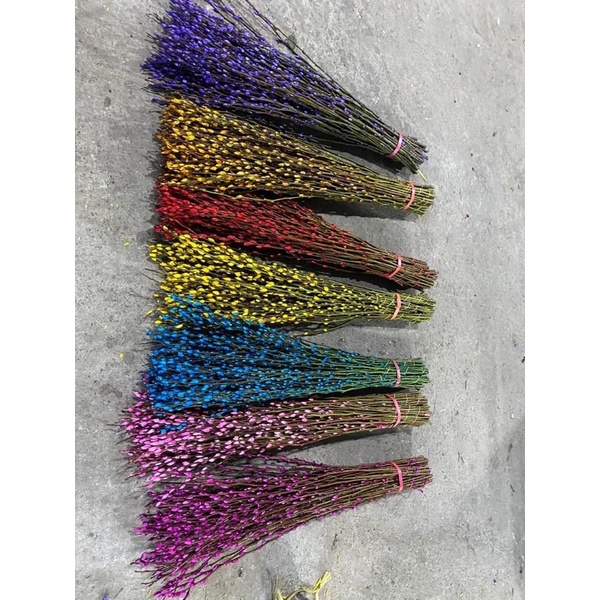 Nụ tầm xuân khô cao 80-1m❤️hoa cắm ngày tết , trang trí nhà cửa