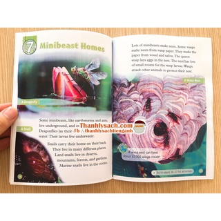Đồ chơi - Read and discover 3- 10q