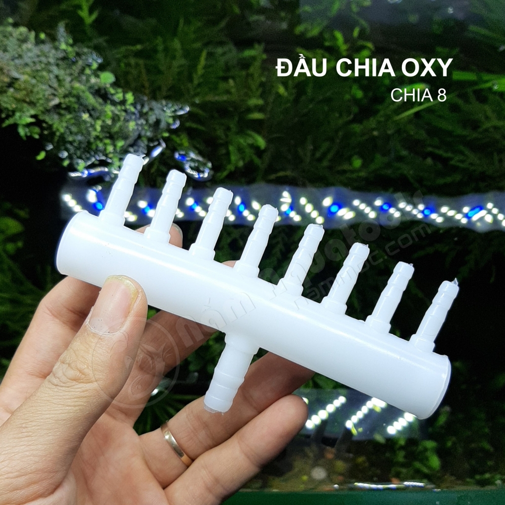 Van Nhựa Chia Oxy - Đầu Chia 4 | 6 | 8 | 10 | 16 | 20 - Chia Ống Oxy Bể Cá Cảnh Thuỷ Sinh