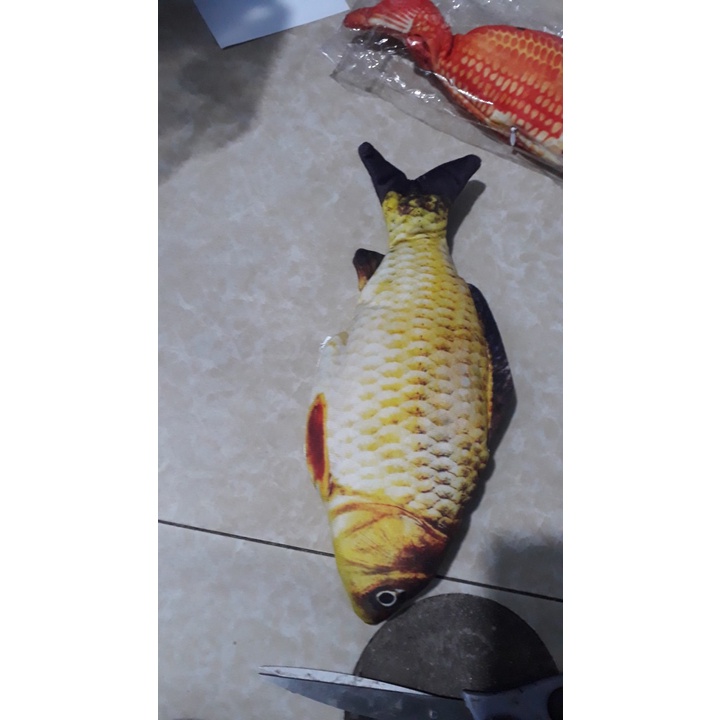 Cá nhảy sạc điện