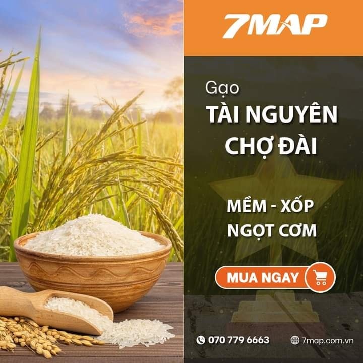 Gạo Tài Nguyên Chợ Đào, Nở, Xốp, Mềm, 5% dẻo