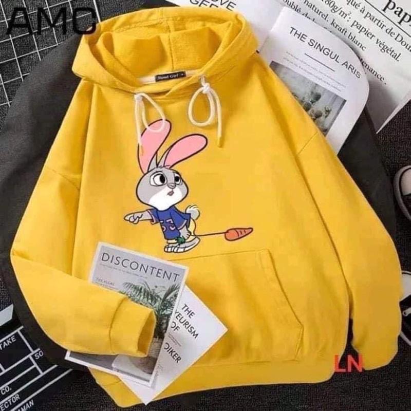 ÁO NỈ HOODIE BÔNG XUẤT HÀN CAO CẤP-CHẤT DÀY DẶN ,ẤM ÁP