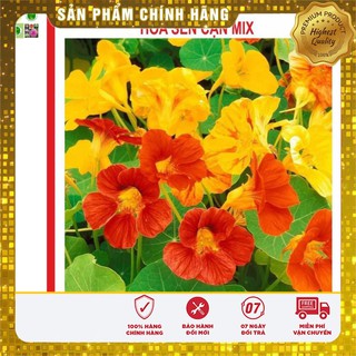 Hạt Giống Hoa Sen Cạn 15 Hạt