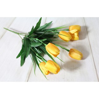 Cành hoa tulip 7 bông hoa