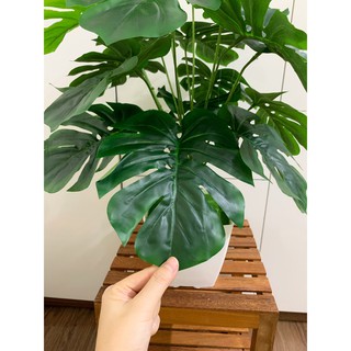 Cây trầu bà lá xẻ cao 70cm, cây giả decor trang trí nhà cửa, văn phòng, homestay