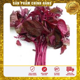 Hạt Giống Rau Dền Đỏ Lá Liễu(50gr)