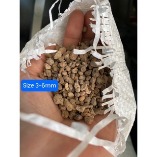 Đá Pumice dùng trồng sen đá, lan, cây kiểng lá