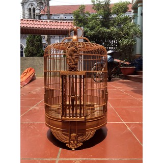 Lồng mi đục tích đại bàng siêu đẹp