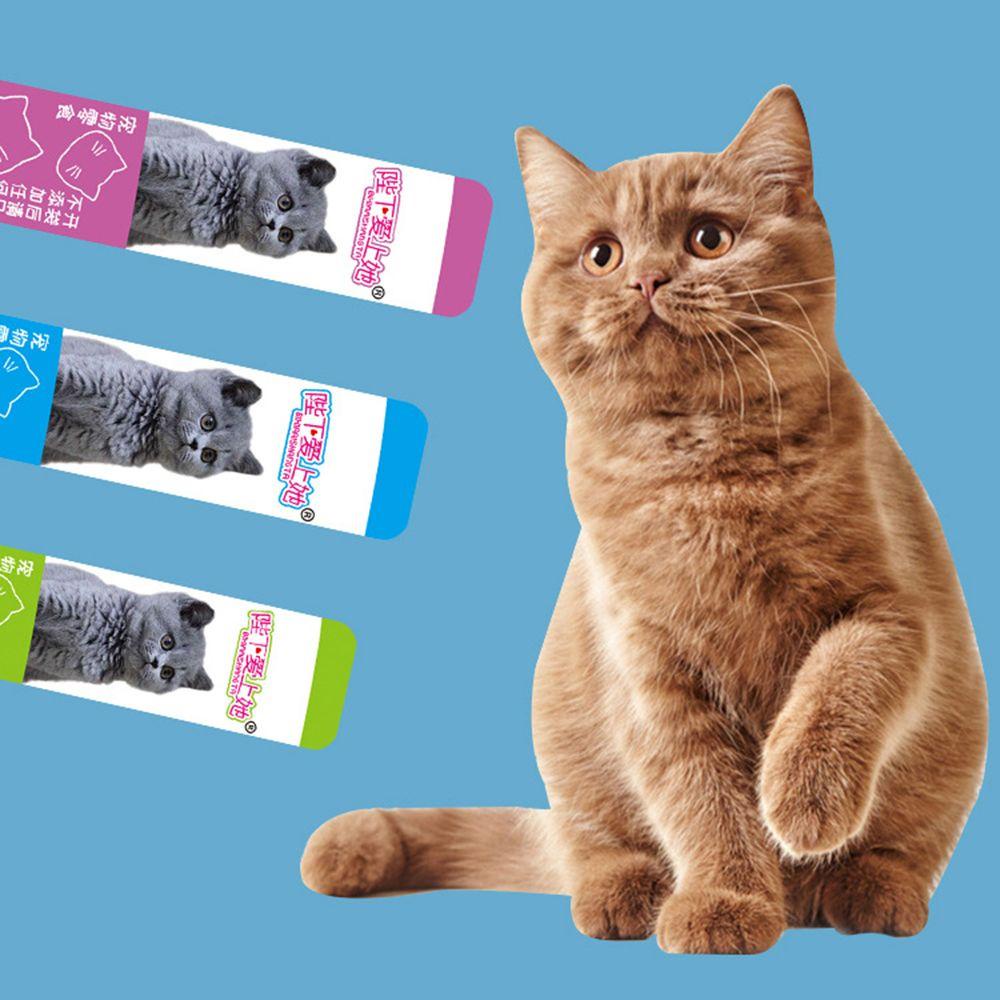 Bộ 10 Đồ Chơi Huấn Luyện Chuyên Dụng Dành Cho Mèo