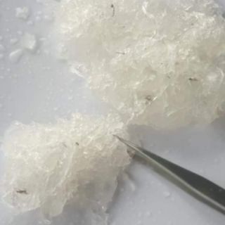 Combo yến xào