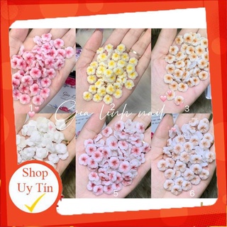 Hoa bột nail gắn móng tay | Hoa đậu ( set 2 bông/10 bông )