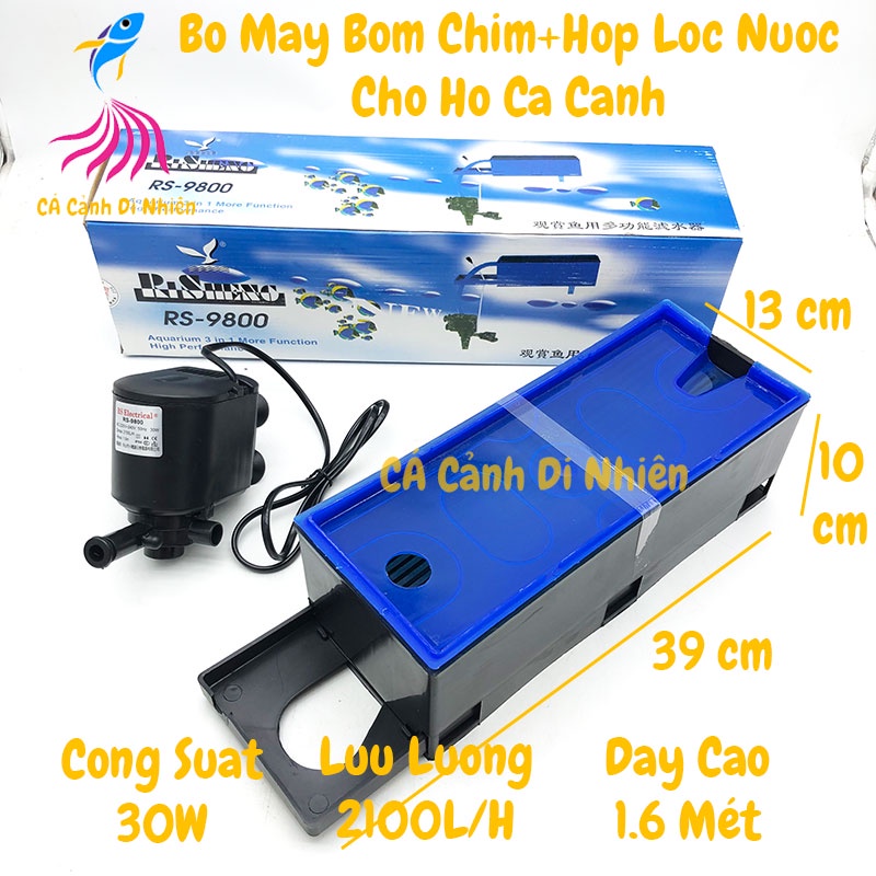 Bộ máy bơm chìm + hộp lọc nước RS-9800 30W cho hồ cá cảnh - Máy Lọc RS 9800
