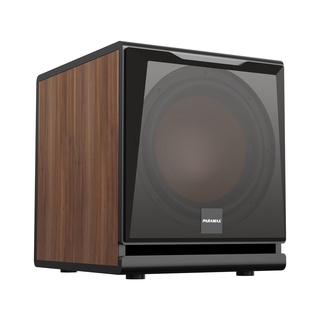 LOA SUB ĐIỆN PARAMAX SUB-D30