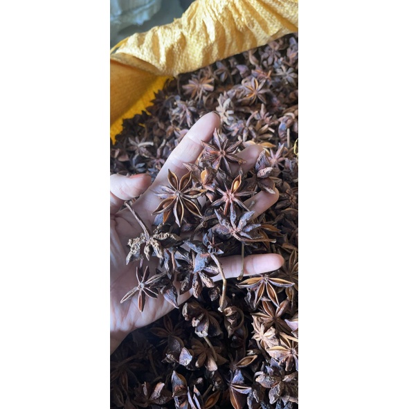 Hoa Hồi (Đại hồi) gói 100g