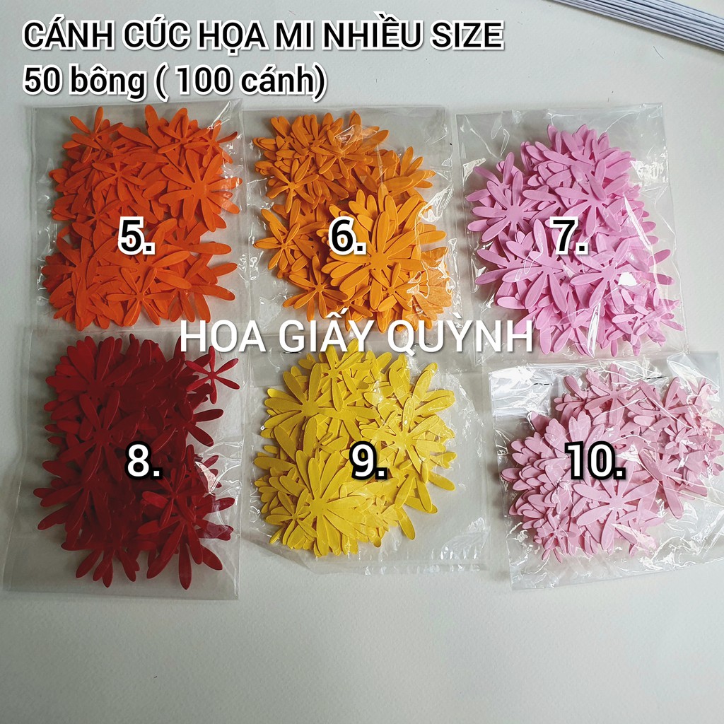 Cánh cúc họa mi nhiều size cắt sẵn