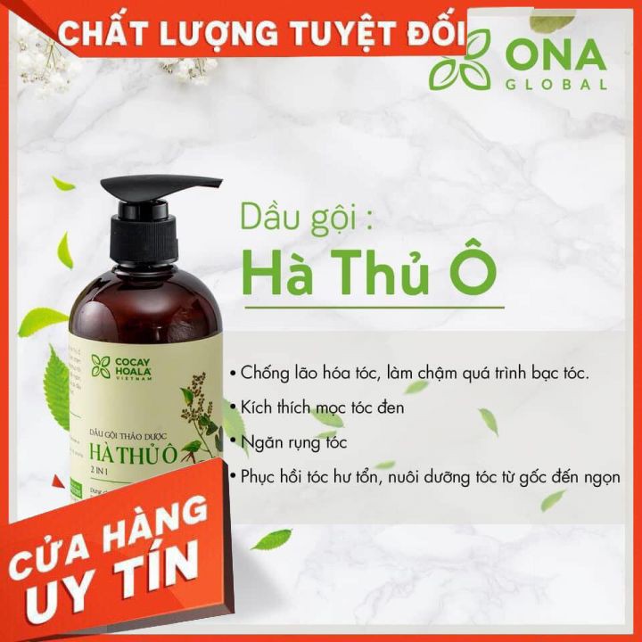Dầu Gội Hà Thủ Ô Kích Thích Sắc Tố Mầm Tóc Cocayhoala 300g | BigBuy360 - bigbuy360.vn