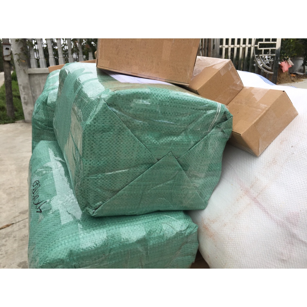 Bể bạt nuôi ốc lươn kích thước 5m x 2m x 1m loại bạt bộ đội dày dai bền