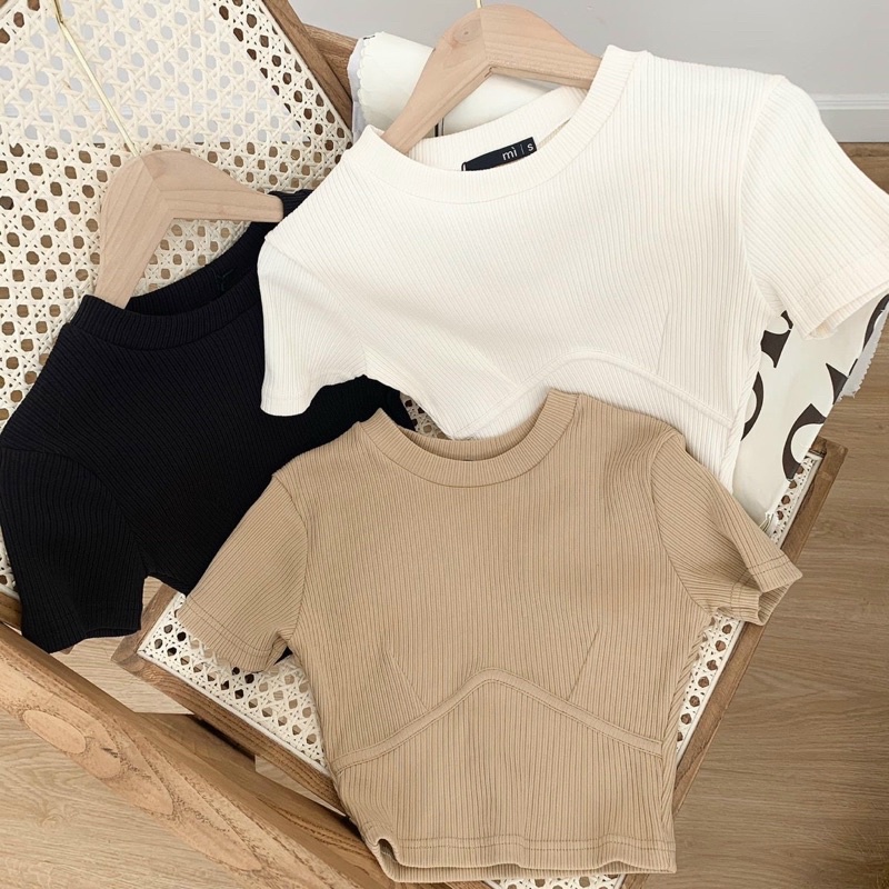 Áo Croptop Thun Gân Cổ Tròn Dây Viền Dưới Ngực A5205 | BigBuy360 - bigbuy360.vn