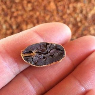 500g bột cacao nguyên chất 100%