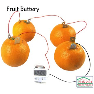 Bộ thí nghiệm pin năng lượng từ rau củ quả