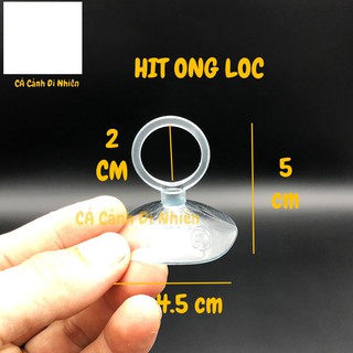 Hít kính giữ ống DÂY LỌC NƯỚC 20 mm cho hồ cá cảnh - cacanhdinhien