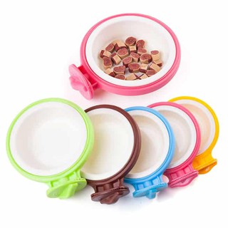 Bộ combo bình sữa và các phụ kiện cho chó mèo