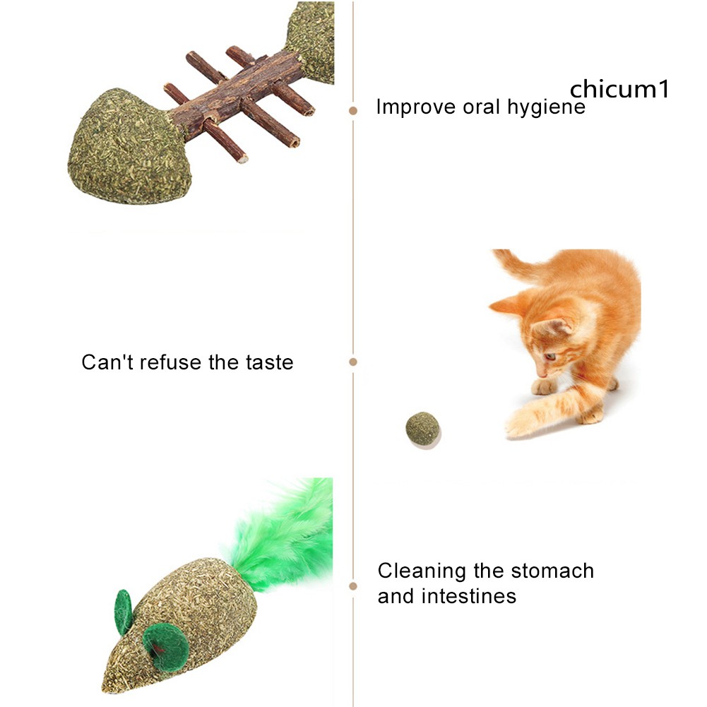 Đồ Chơi Gặm Nhắm Hình Cá Và Chuột Ch2 Cho Mèo