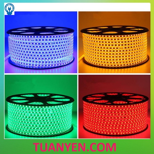 Đèn led dây 3014 trang trí trong nhà, ngoài trời 100m (cuộn)