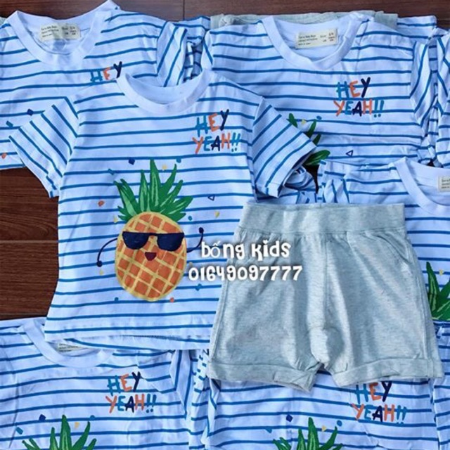 Set bộ zara quả dứa