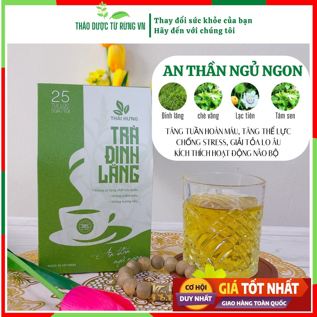 Trà Đinh Lăng Thái Hưng - Trà Thảo Mộc An Thần Ngủ Ngon, Giảm Stress 25 túi lọc 125g Thảo Dược Từ Rừng VN